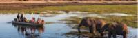 Wildlife viewing in Chobe River |  <i>Peter Walton</i>