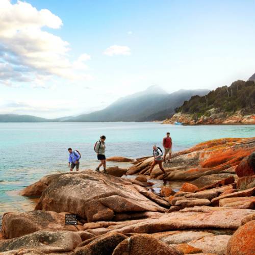 https://www.tasmanianexpeditions.com.au/croppedImages/Australasia/Freycinet-Experience-Walk-GWOA-Logo-977431-500px.jpg?20210804173036=