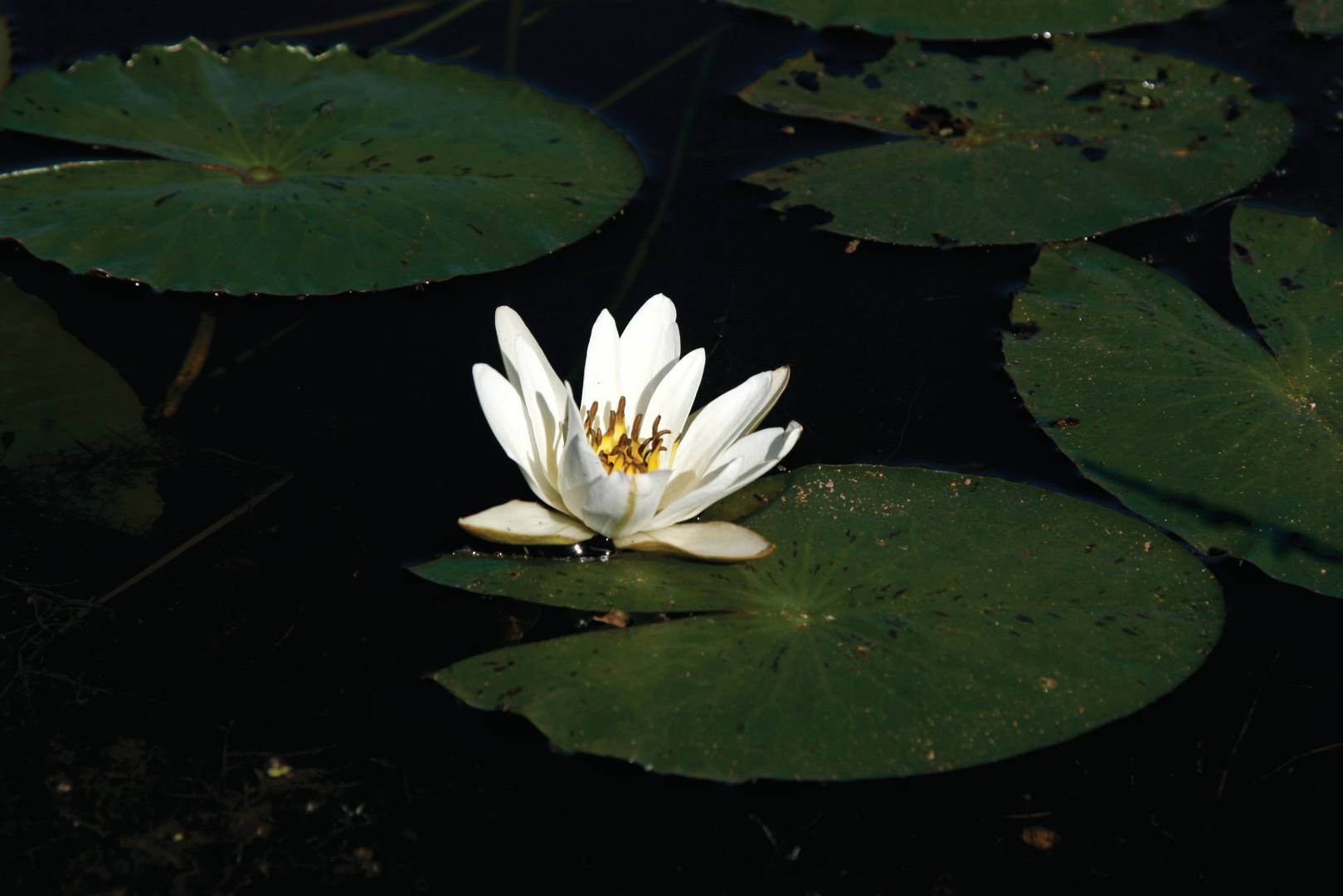 Kakadu National Park | <i>Andrew Thomasson</i>