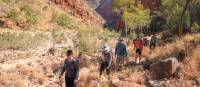 Trekking the Larapinta Trail | Luke Tscharke