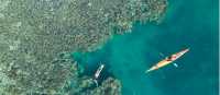 Whitsundays sea kayaking crosses a coral reef seen from above as swimmers snorkel nearby.