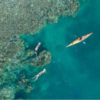 Whitsundays sea kayaking crosses a coral reef seen from above as swimmers snorkel nearby.