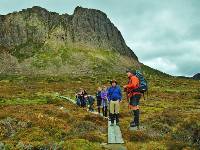 Pausing for interpretation from our guide on the Overland Track |  <i>Ashton Sayer</i>