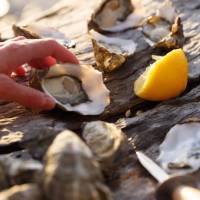 Bruny Island oysters