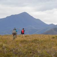 Trekking towards the Ironbound ranges on the South Coast Track in Tasmania |  <i>John Dalton</i>