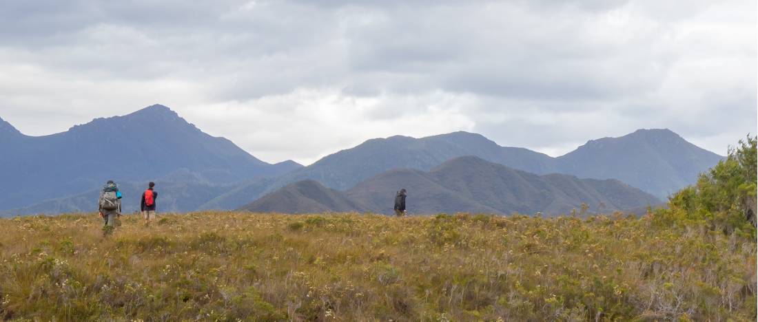 Trekking towards the Ironbound ranges on the South Coast Track in Tasmania |  <i>John Dalton</i>