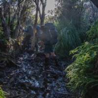 The terrain on the South Coast Track can be very muddy | John Dalton