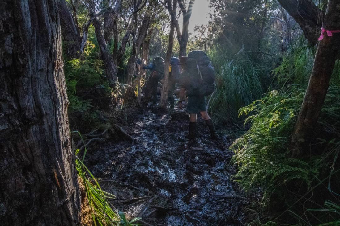 The terrain on the South Coast Track can be very muddy |  <i>John Dalton</i>