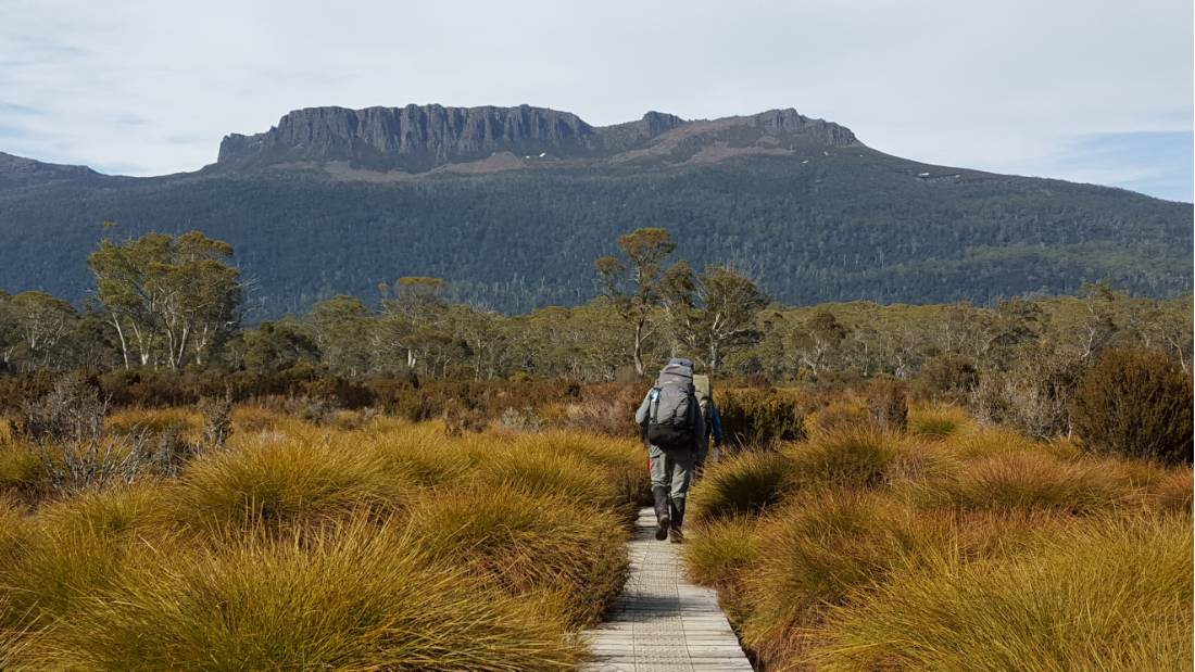 Walking on the Overland Track |  <i>Linda Murden</i>