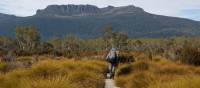 Walking on the Overland Track | Linda Murden