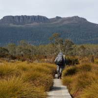 Walking on the Overland Track | Linda Murden