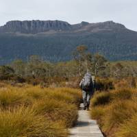 Walking on the Overland Track | Linda Murden