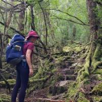 Hiking to the summit of Frenchmans Cap