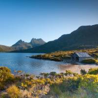 Looking towards Cradle Mountain from Lake Dove | Andrew McIntosh