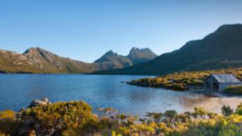 Looking towards Cradle Mountain from Lake Dove | Andrew McIntosh
