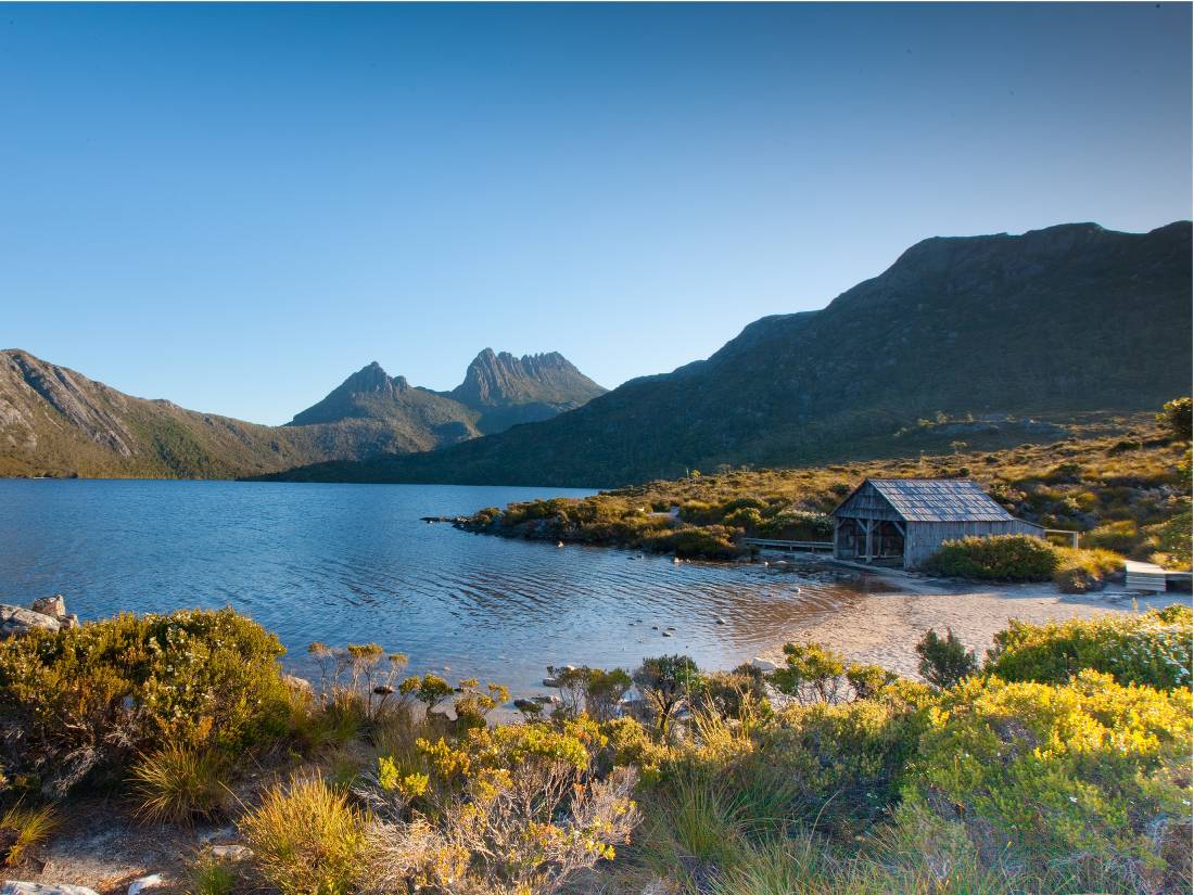 Looking towards Cradle Mountain from Lake Dove |  <i>Andrew McIntosh</i>
