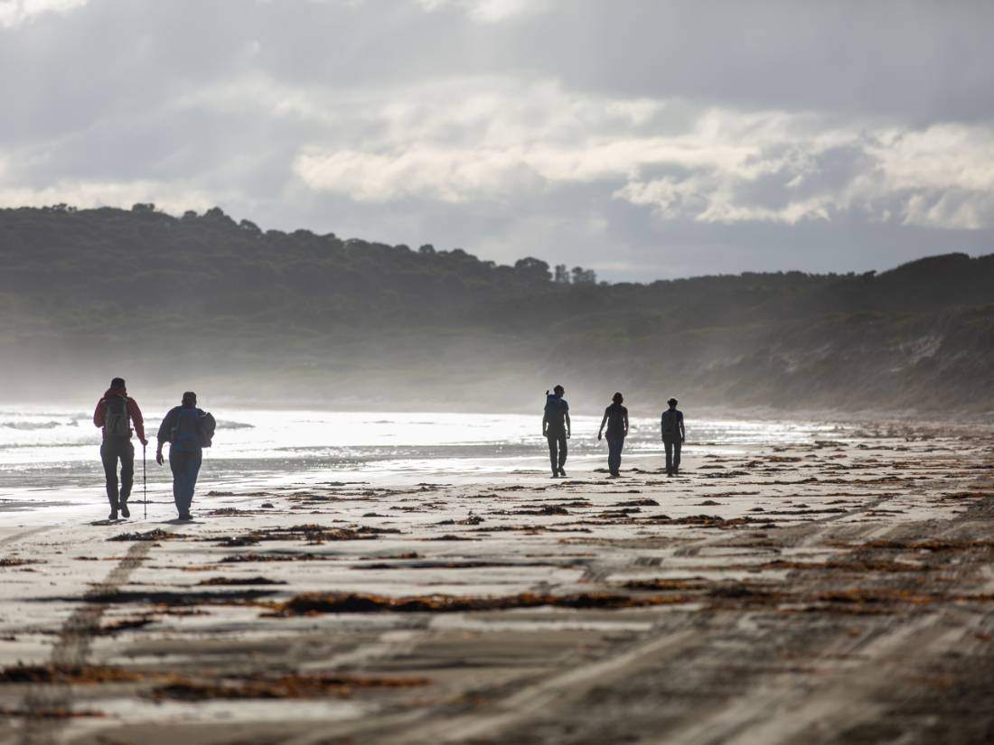 Walking along Bruny Island's remote beaches
