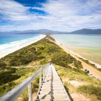 Walk the long, narrow sandy isthmus known as “The Neck”. | Andrew Wilson