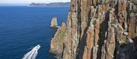 Cape Hauy with Cape Pillar beyond | Andrew Bain