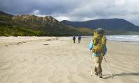 Walking towards Cox Bight on the South Coast Track |  <i>Stef Gebbie</i>