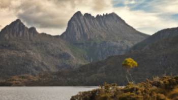 Cradle Mountain,Peter Walton The amazing Cradle Mountain and Lake St Clair