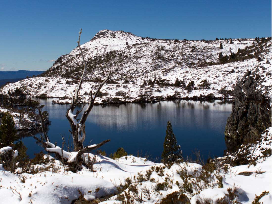 Cradle Mountain-Lake St Clair National Park, Tasmania |  <i>Paul Maddock</i>