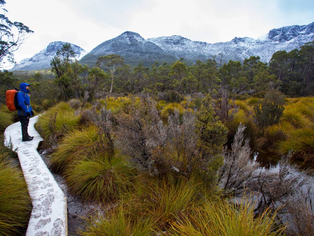 Trekker pauses to admire the diverse scenery along the trail |  <i>Great Walks of Australia</i>