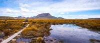 Trekkers walking along the boardwalk on the Overland Track | Great Walks of Australia