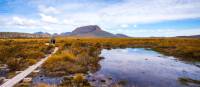 Trekkers walking along the boardwalk on the Overland Track | Great Walks of Australia