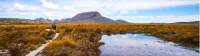 Trekkers walking along the boardwalk on the Overland Track |  <i>Great Walks of Australia</i>