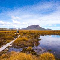 Trekkers walking along the boardwalk on the Overland Track | Great Walks of Australia