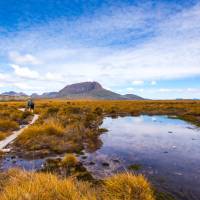 Trekkers walking along the boardwalk on the Overland Track | Great Walks of Australia