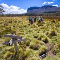 Trekkers admiring the scenery on the Cradle Huts walk | Great Walks Of Australia