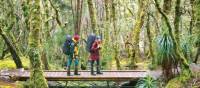 Walking in Cradle Mountain Lake St Clair National Park | Don Fuchs