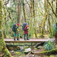 Walking in Cradle Mountain Lake St Clair National Park | Don Fuchs