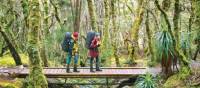 Walking in Cradle Mountain Lake St Clair National Park | Don Fuchs