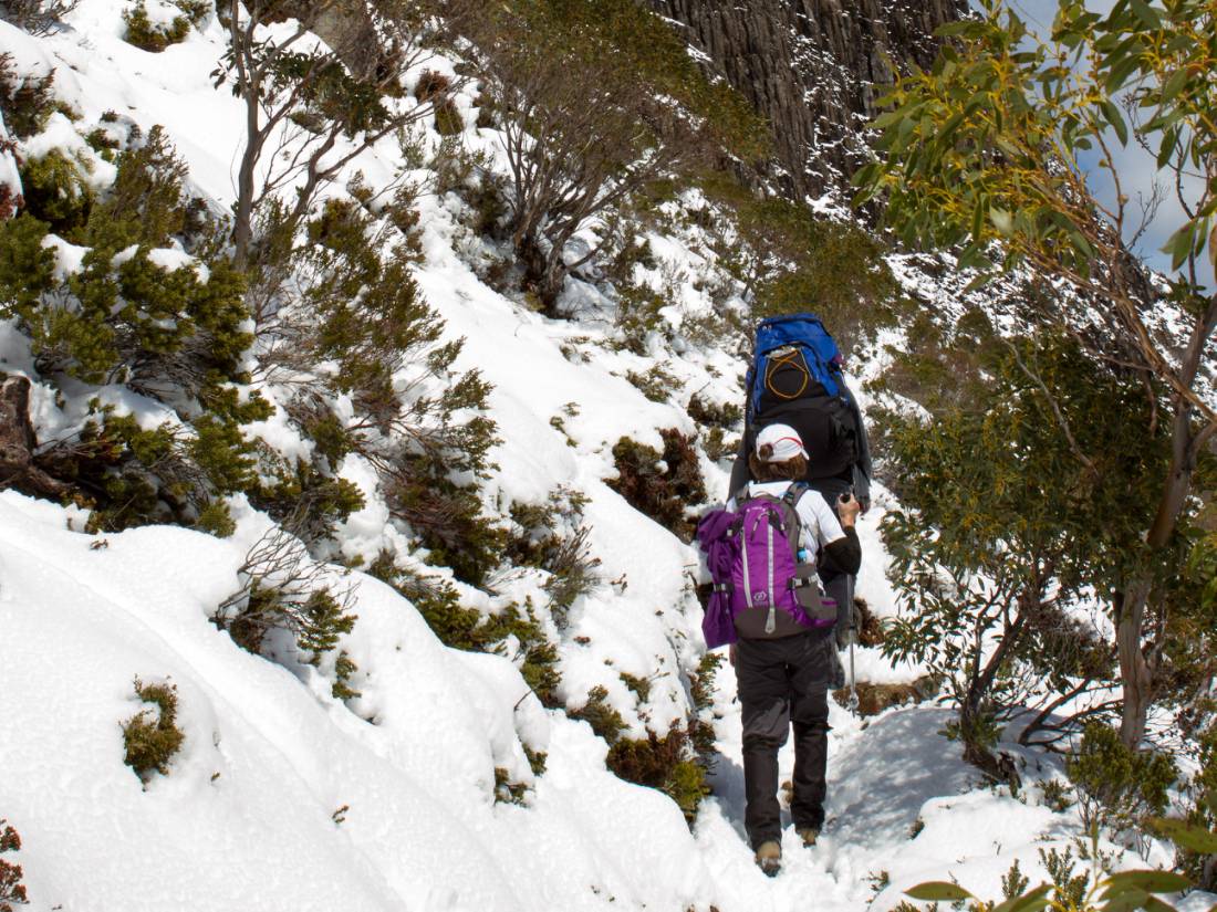 Cradle Mountain trek, Tasmania |  <i>Paul Maddock</i>