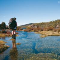 Trekkers carry a full pack on our Walls of Jerusalem self guided walks | Aran Price