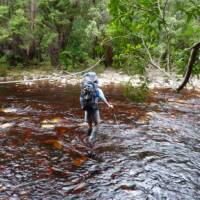 Tackling a river crossing on Tasmania's South Coast Track | Michel Gueneau