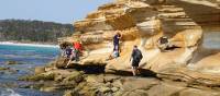 Explore the beautiful Painted Cliffs on Tasmania's Maria Island | Toni Wythes