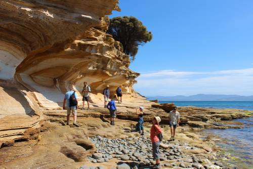 Explore Tasmania's Maria Island by foot |  <i>Oscar Bedford</i>