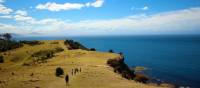 Explore Tasmania's Maria Island by foot | Oscar Bedford