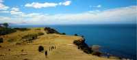 Explore Tasmania's Maria Island by foot | Oscar Bedford