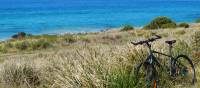 Bike resting - somewhere on the east coast of Tasmania | Leanne Atwal