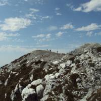 Hikers on Frenchman's Cap | Sam Craddock
