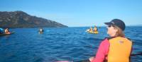 Kayaking on Coles Bay | Brian Dodson