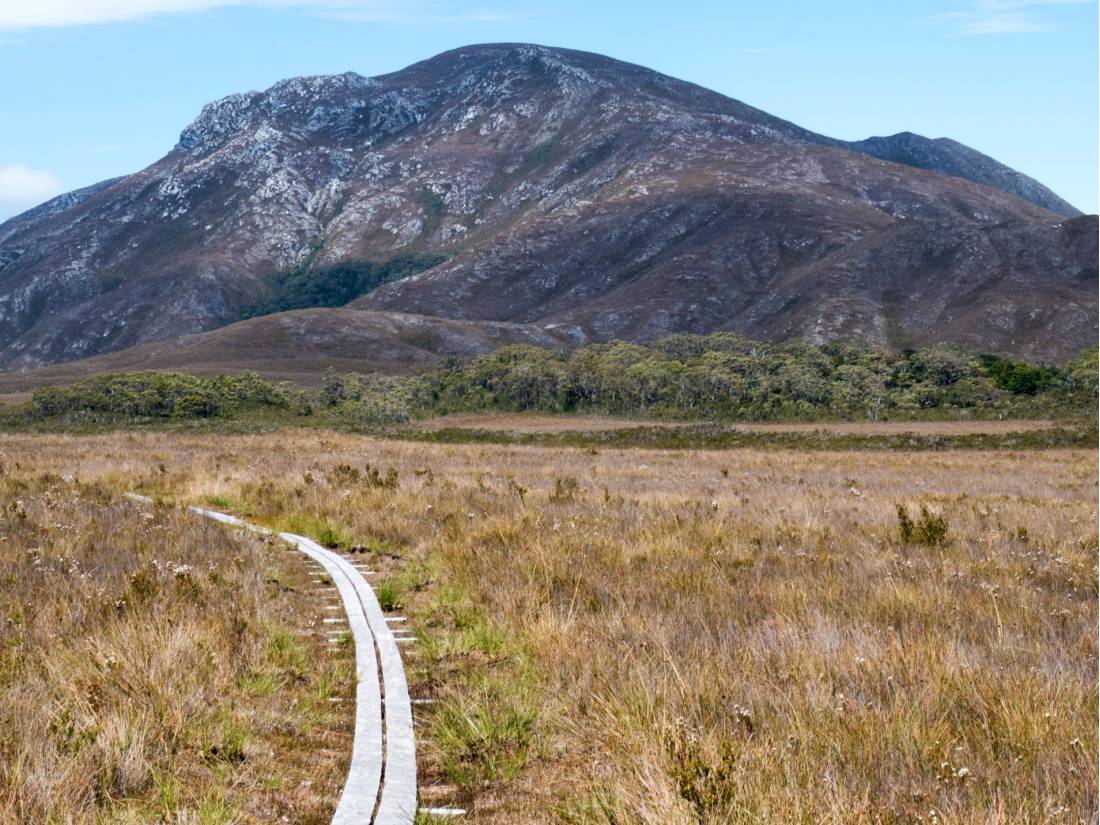 Remote trekking from Melaleuca to Cox's Bright |  <i>Jon Herring</i>