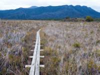 Trekking from Cox's Bright to Louisa Creek |  <i>Jon Herring</i>