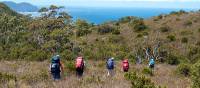 Trek from Granite Beach to South Cape Rivulet | Jon Herring