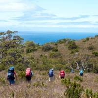 Trek from Granite Beach to South Cape Rivulet | Jon Herring